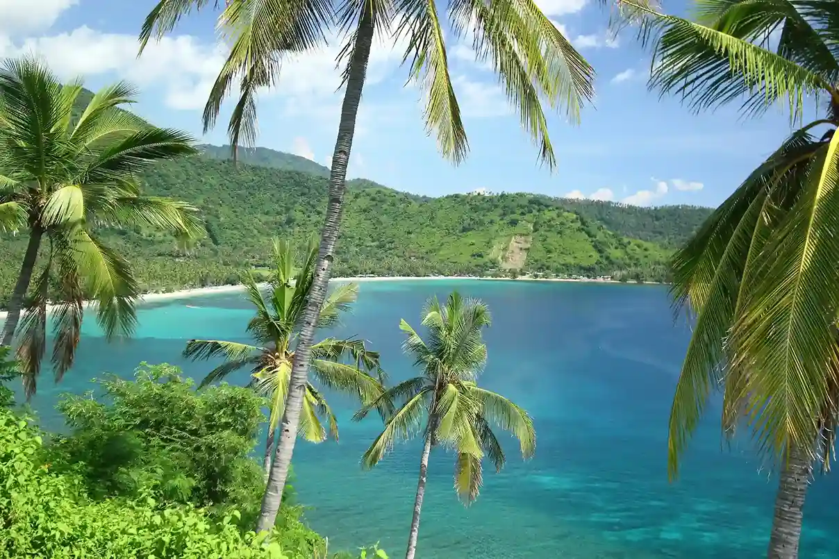 Komodo NP